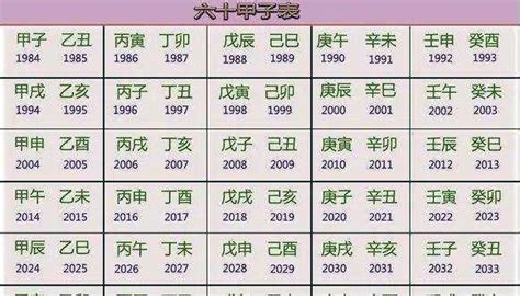 子丑年是哪一年|己丑年（中国农历六十甲子中的年）